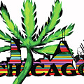 4   20